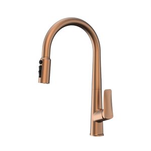 Flow Kitchen Mixer
