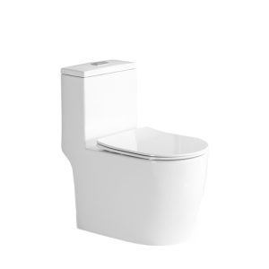 Floor Standing WC